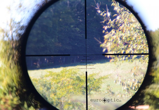 View through reticle of Swarovski Z3. Simply a stunning amount of detail in this forest at a range of over 400 yards.