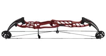 Hoyt Target Compound Bows