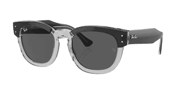 Ray-Ban Wayfarer Sunglasses