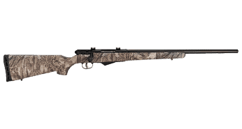 Savage Arms Model 25