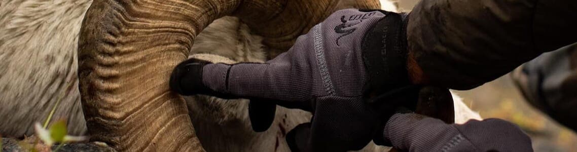 Gloves