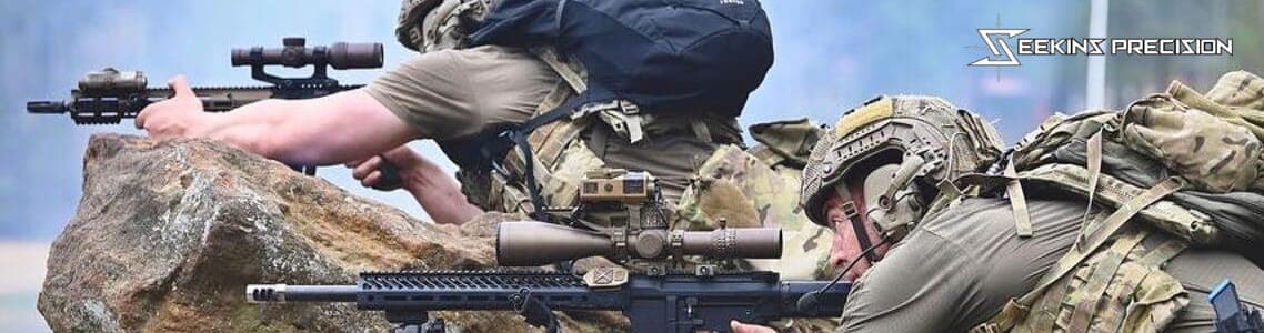 Seekins SP10 Rifles