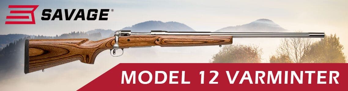 Model 12 Varminter